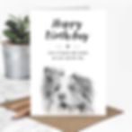 wholesale birthday card for dog lovers with a hand-drawn illustration of a border collie