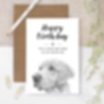 wholesale birthday card for dog lovers with a hand-drawn illustration of a golden retriever