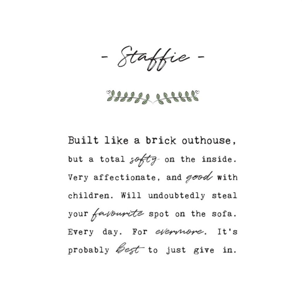 Thumbnail: Staffie Funny Dog Breed Traits Print