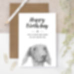 wholesale birthday card for dog lovers with a hand-drawn illustration of a dachshund