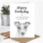 wholesale birthday card for dog lovers with a hand-drawn illustration of a jack russell