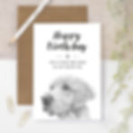 golden retriever dog happy birthday card featuring an original pencil sketch