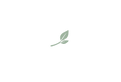 ChatGPT Image 1 jul 2026, 11_49_38.png