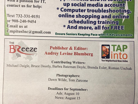 Promote Empitus Free IT Service