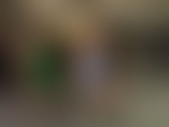 Deaf community shines at ASL Ball