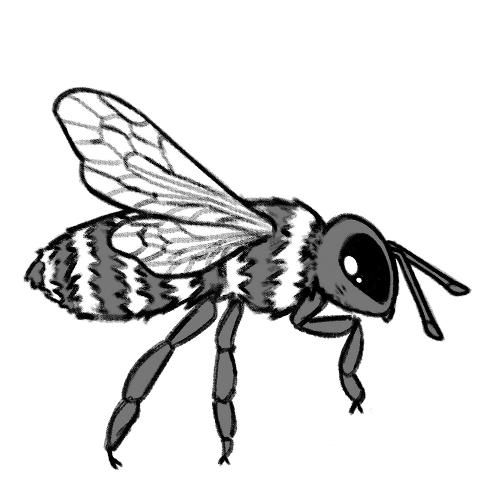 Campus Sustainability hosts awareness events