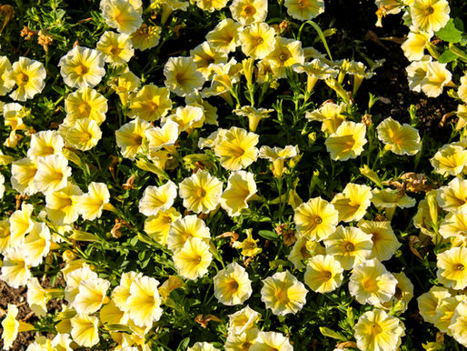 I want to see you get better, but I’ll settle for hoping