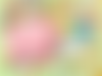 Photo Spread: "Where's Sam"