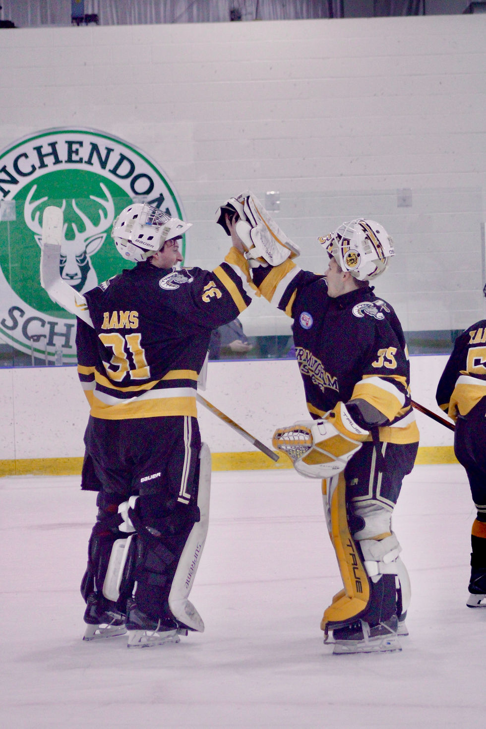 Men’s ice hockey conquers the Ravens in overtime