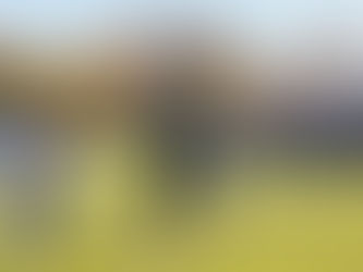 Football crushes Dean College on Senior Day