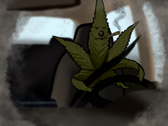 High risk, low reward