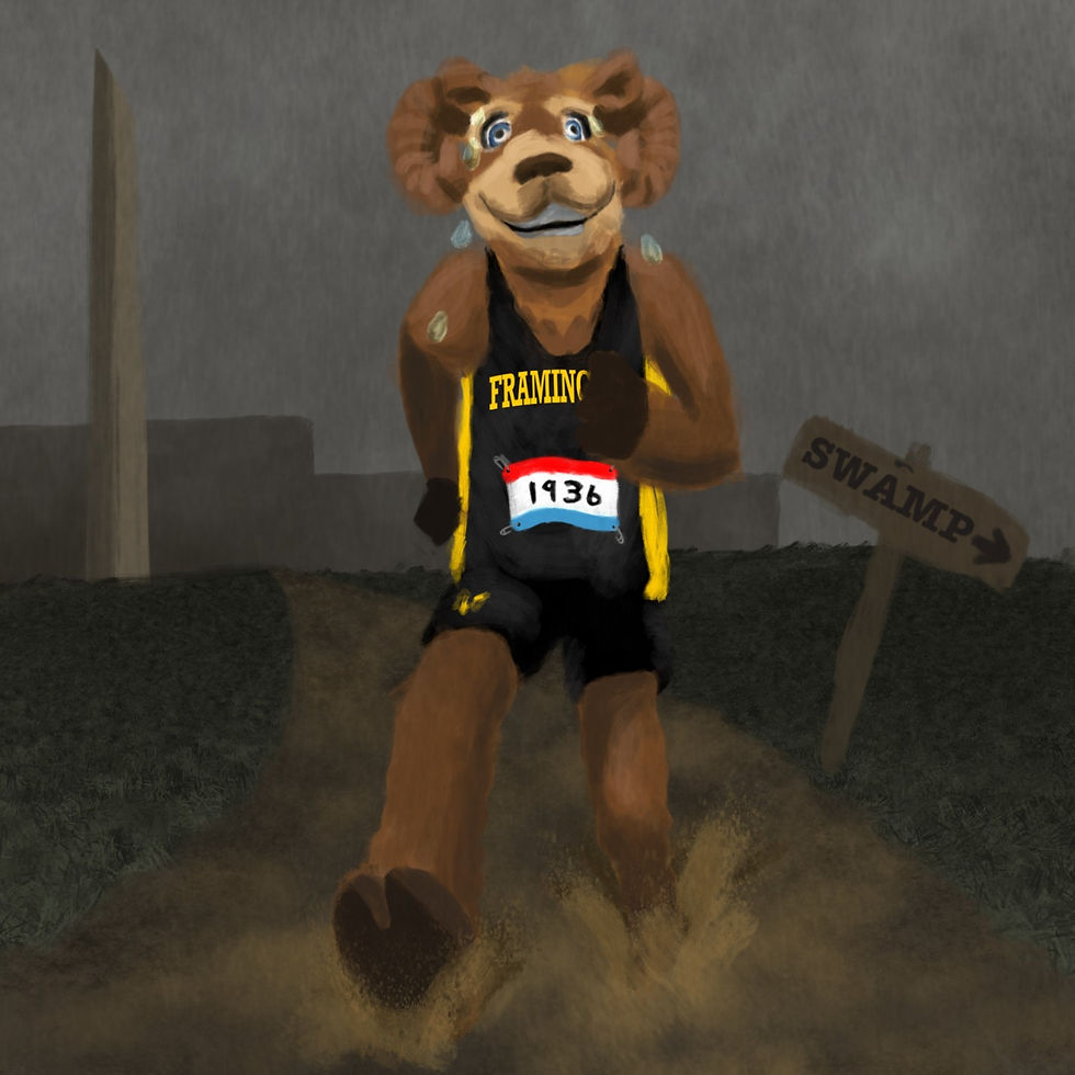 Sam the Ram running through a swamp.