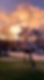 A photo of a sunset and pink blooming tree.
