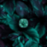 3.2CT \ Cushion \ Tourmaline