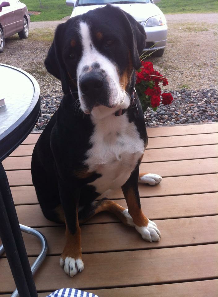 Lucy