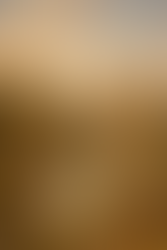 Weaving Providence into the Fungal Web of Life