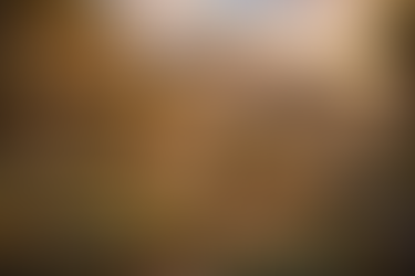 Slavoj Žižek’s Ljubljana