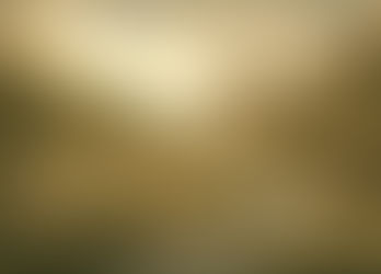 Late 21st Century Strasbourg