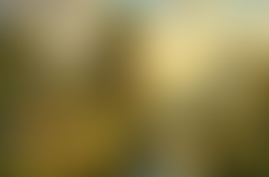 From Redwood to Revolution: How a Californian Giant Could Reforest the Future of La Forêt-sur-Sèvre