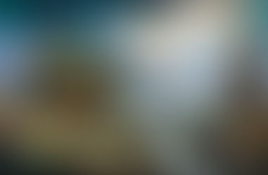 The future of the Vosges Mountains