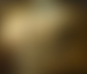 Green City of Bridges: Future Wroclaw