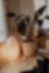 G67A9397.jpg
