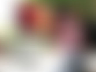 Digital Behaviour & Viewing Habits: What We’ve Learned from Social Data (Africa 2024–25)