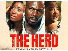 “The Herd” Charges Beyond the Box Office- From Nigerian Cinemas to Netflix Charts