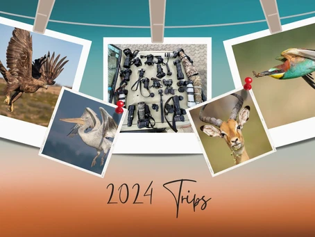 2024 Wildlife Photography Trips