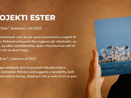 Project "Ester" 