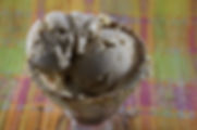 Pastry Prophet Philadelphia cinnamon ice