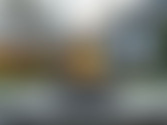 Solo Stove vs. Tiki: Best Smokeless Fire Pits (Is It Worth $300?)