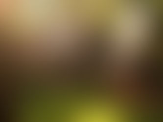 Traeger vs Pit Boss pellet grill