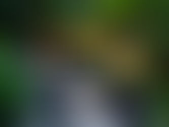 Solar Pathway Lights