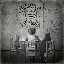 ©Andy Prokh photography8398_o.jpg