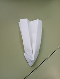 IMG_20191016_092628.jpg