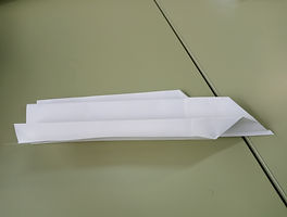 IMG_20191016_092717.jpg