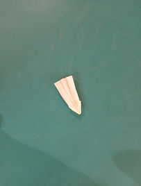 IMG_20191016_093901.jpg