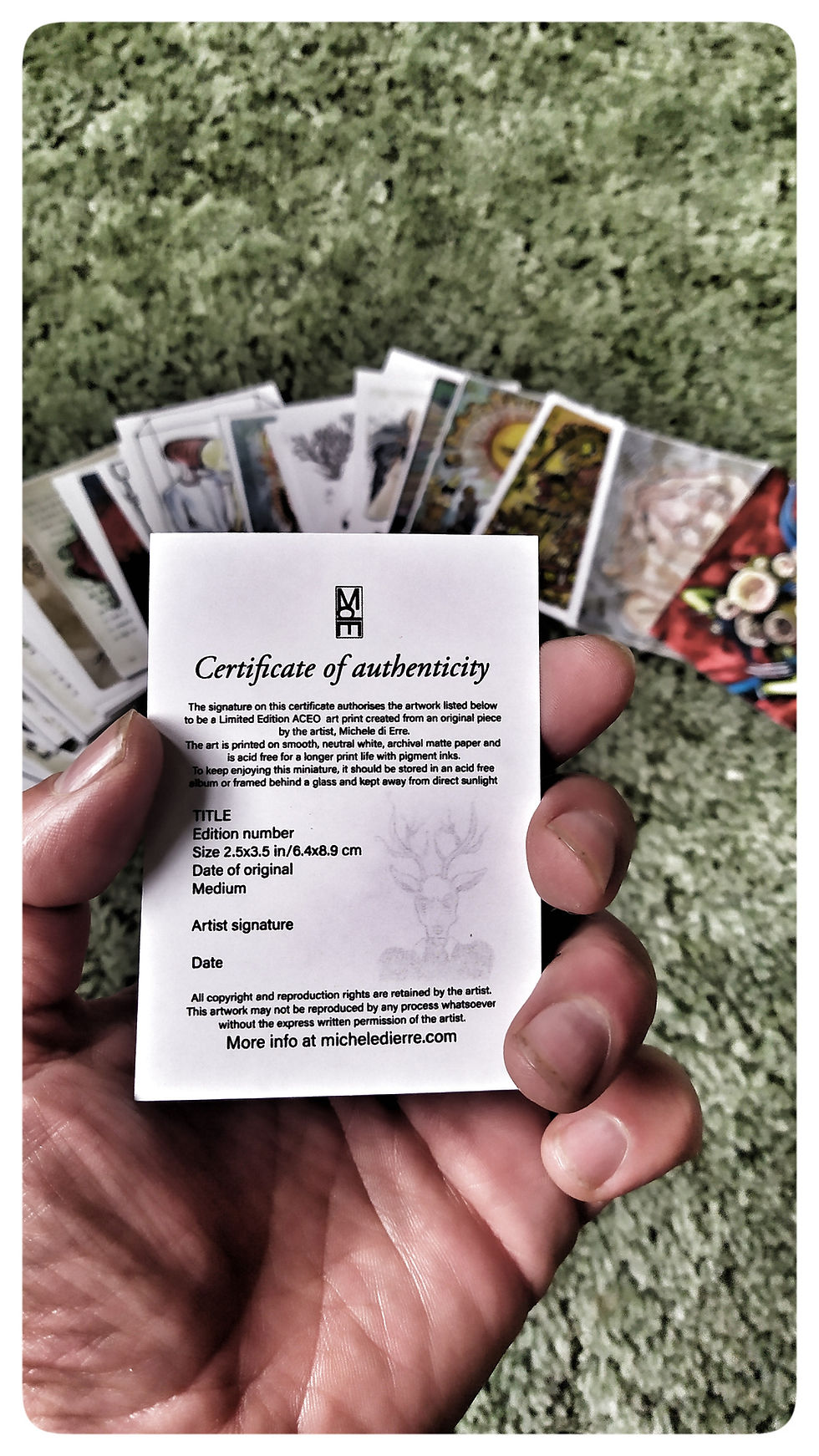 Miniatura: Acquario I