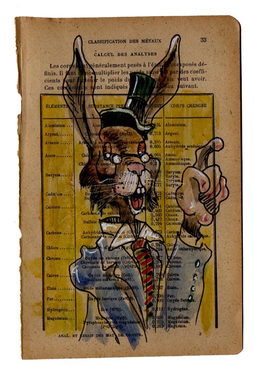 Rabbit