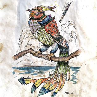 Paradise Fenix