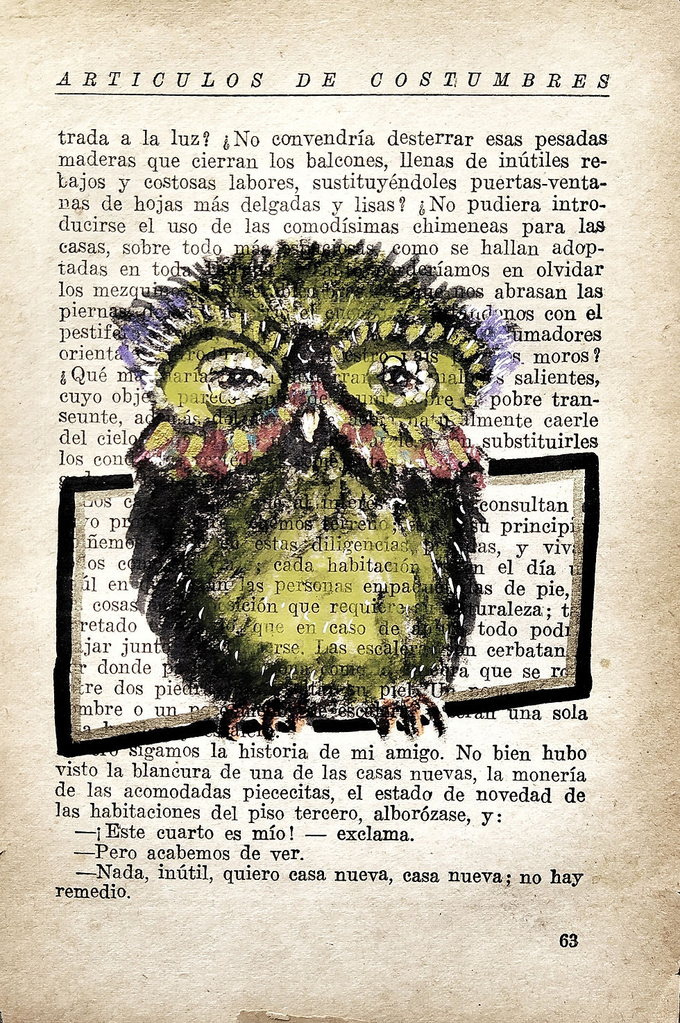 Owl