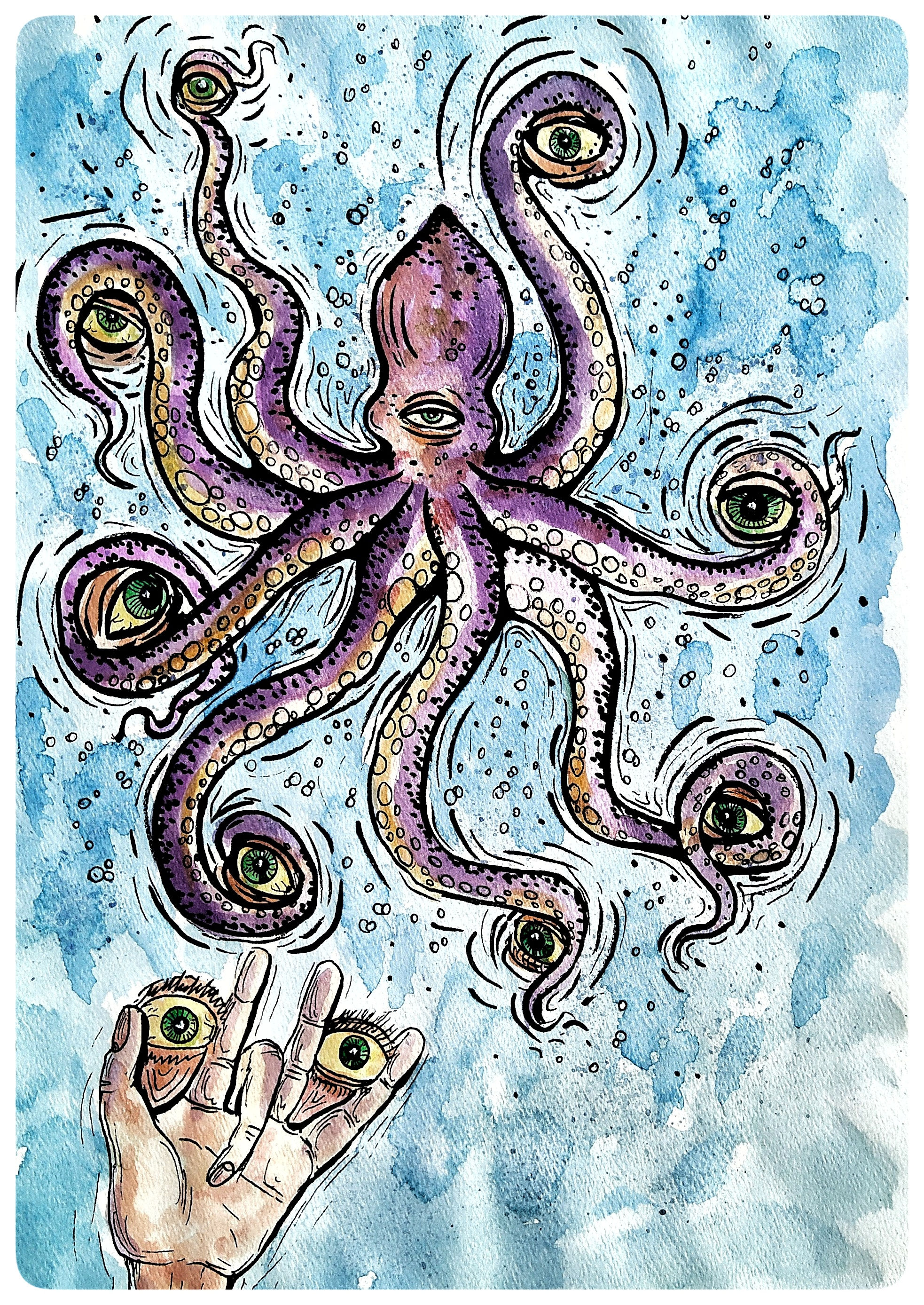 Octopus