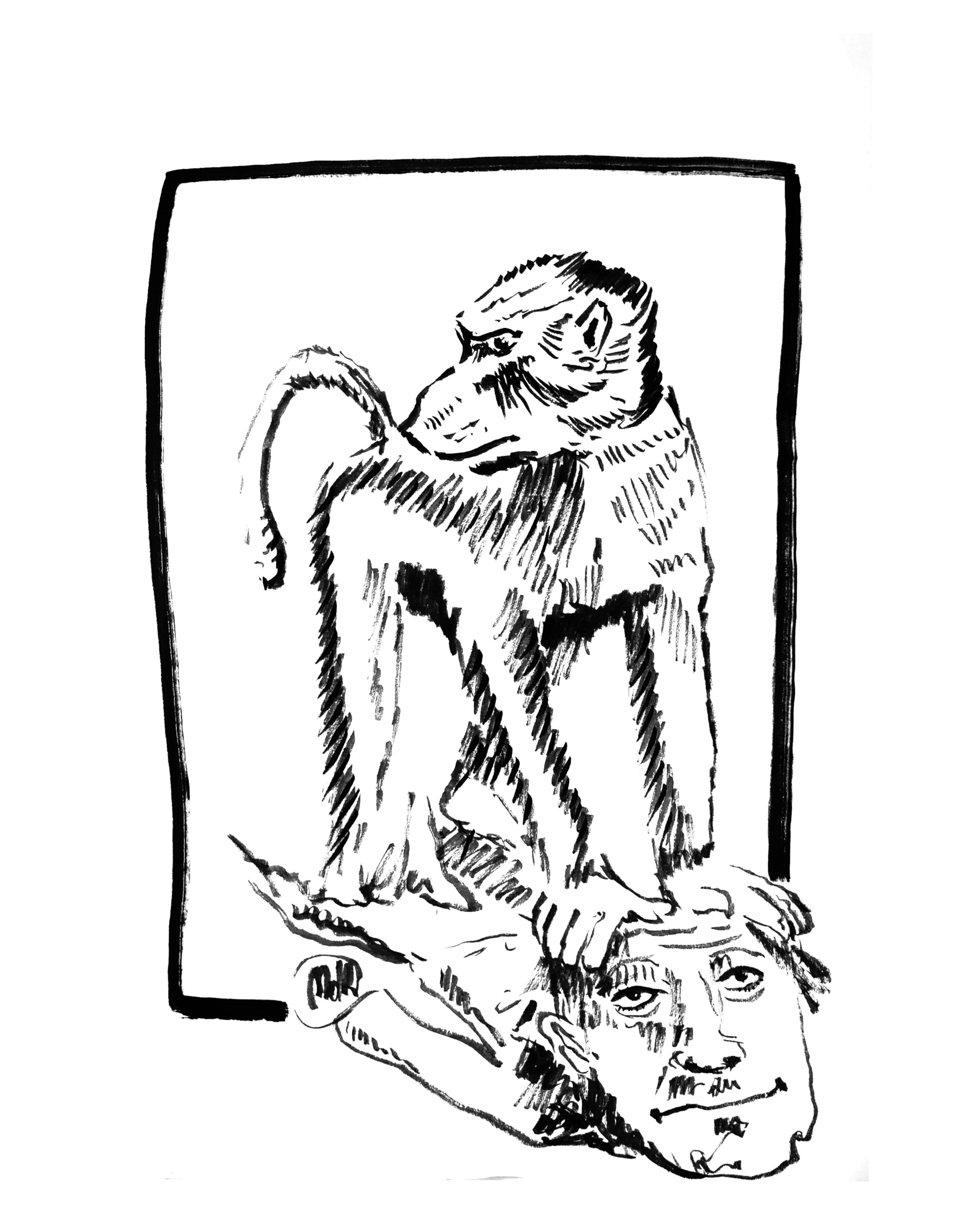 Scimmia schiaccia Uomo