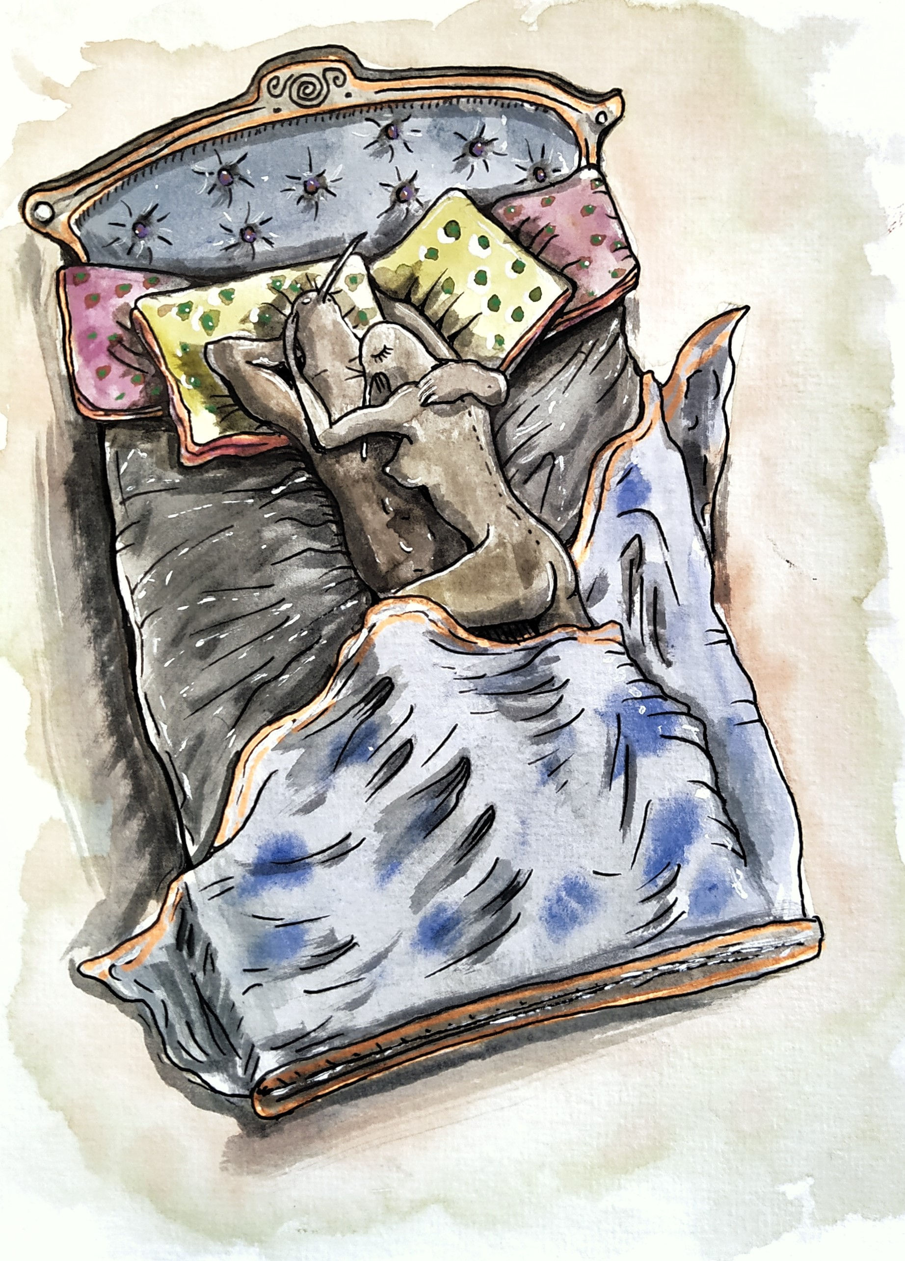 Anche i kiwi lo fanno