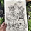 Miniatura: Study for The Slot