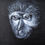 Thumbnail: Monkey Mani