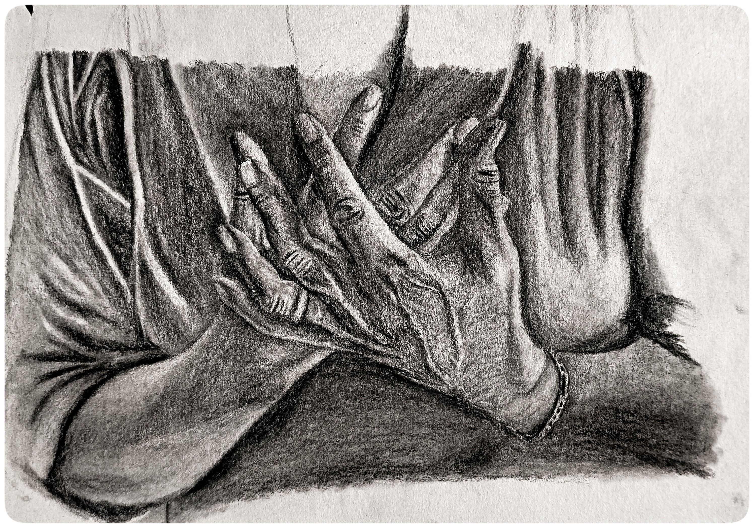 Le Mani di Mia Madre, 2013