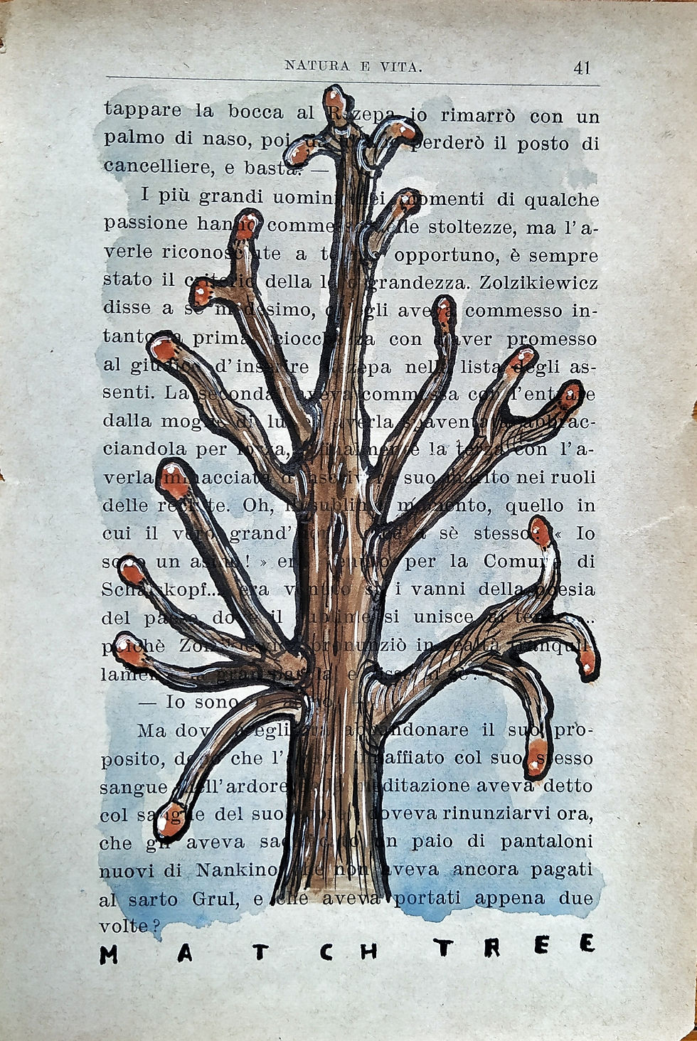 Match Tree from Australia