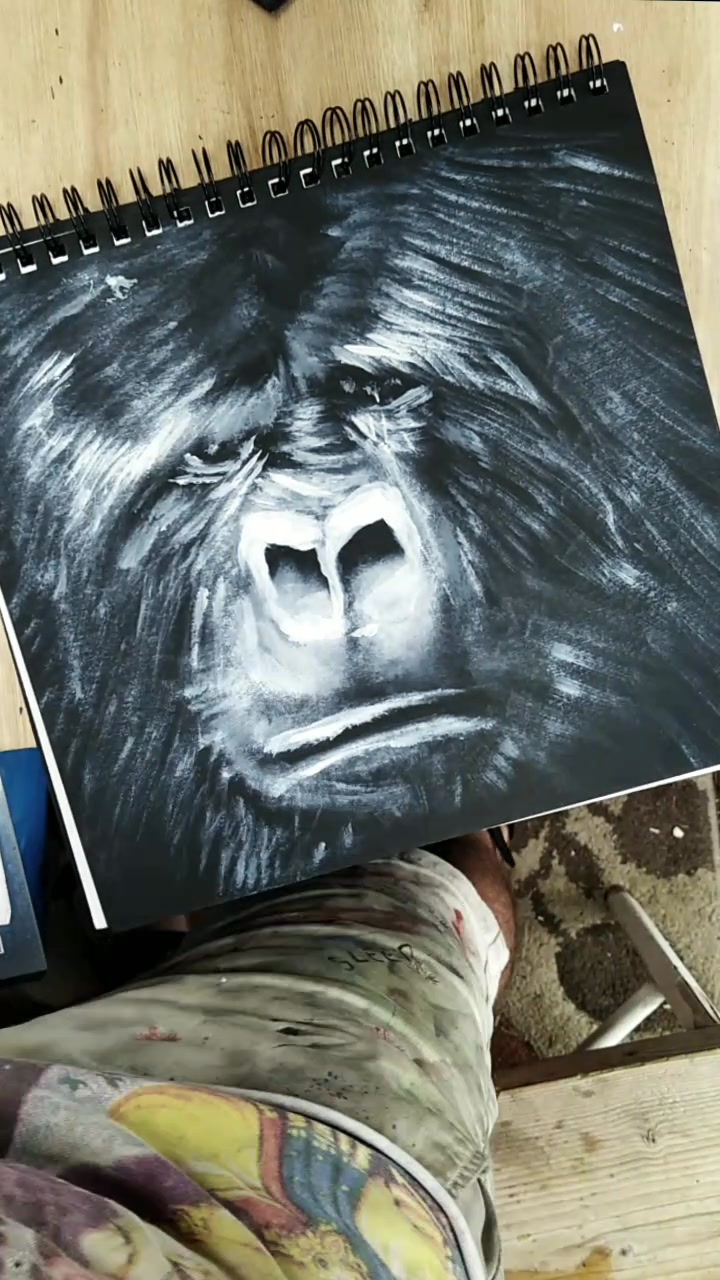 Thumbnail: Gorilla